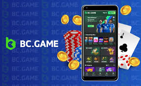 Comprehensive Guide to Support BC Game