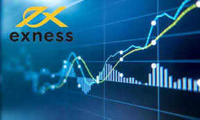 Exploring Exness Trading Your Guide to Success